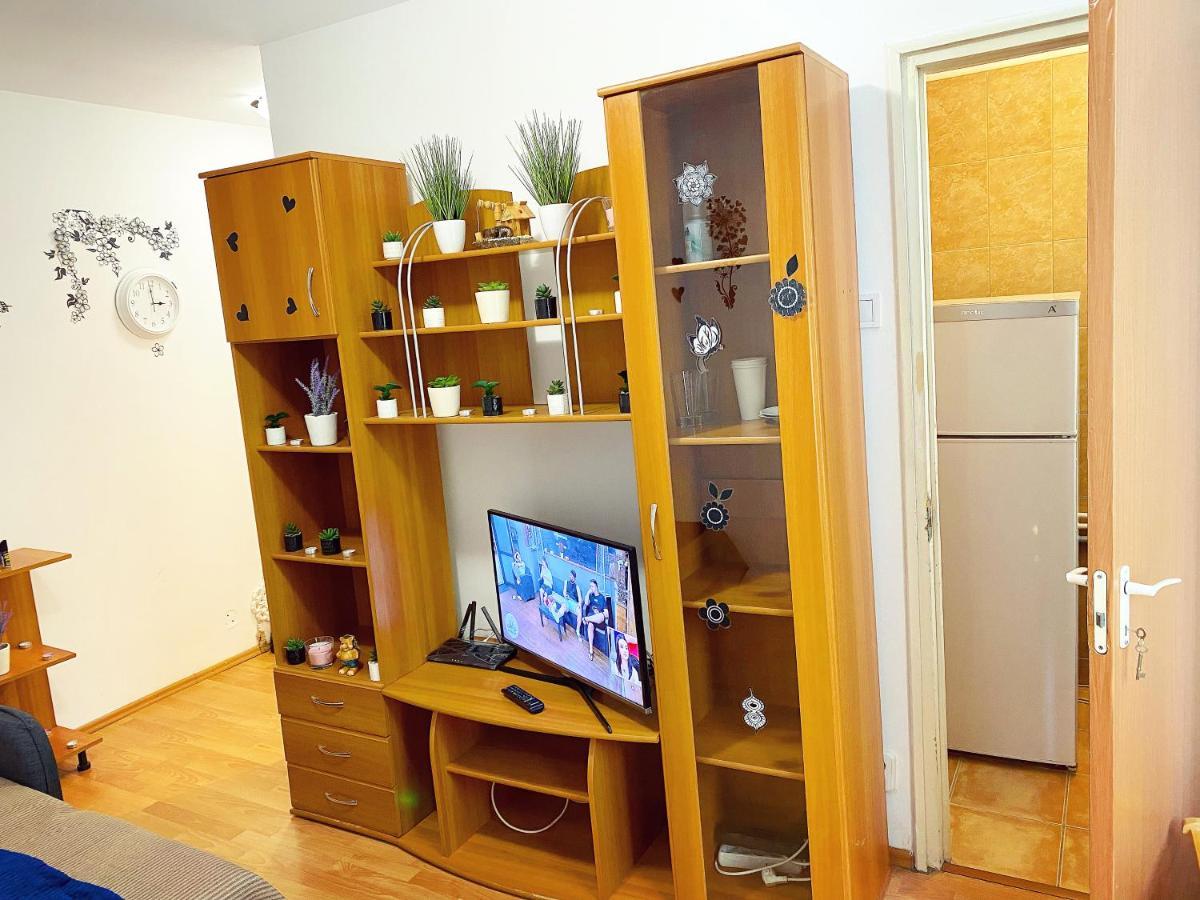 Apartment Casa Andu Piata Alba Iulia