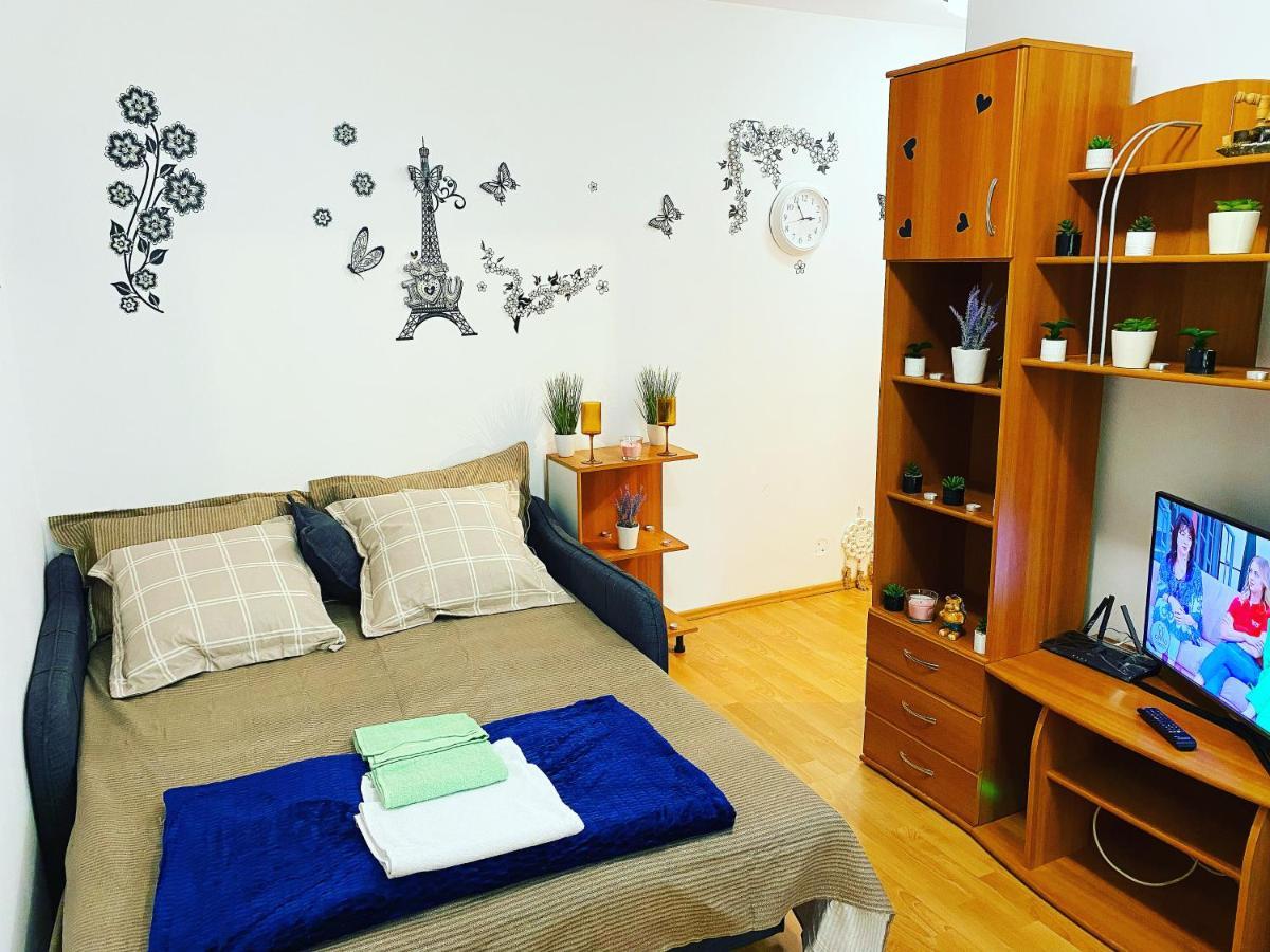 Casa Andu Piata Alba Iulia Apartment *