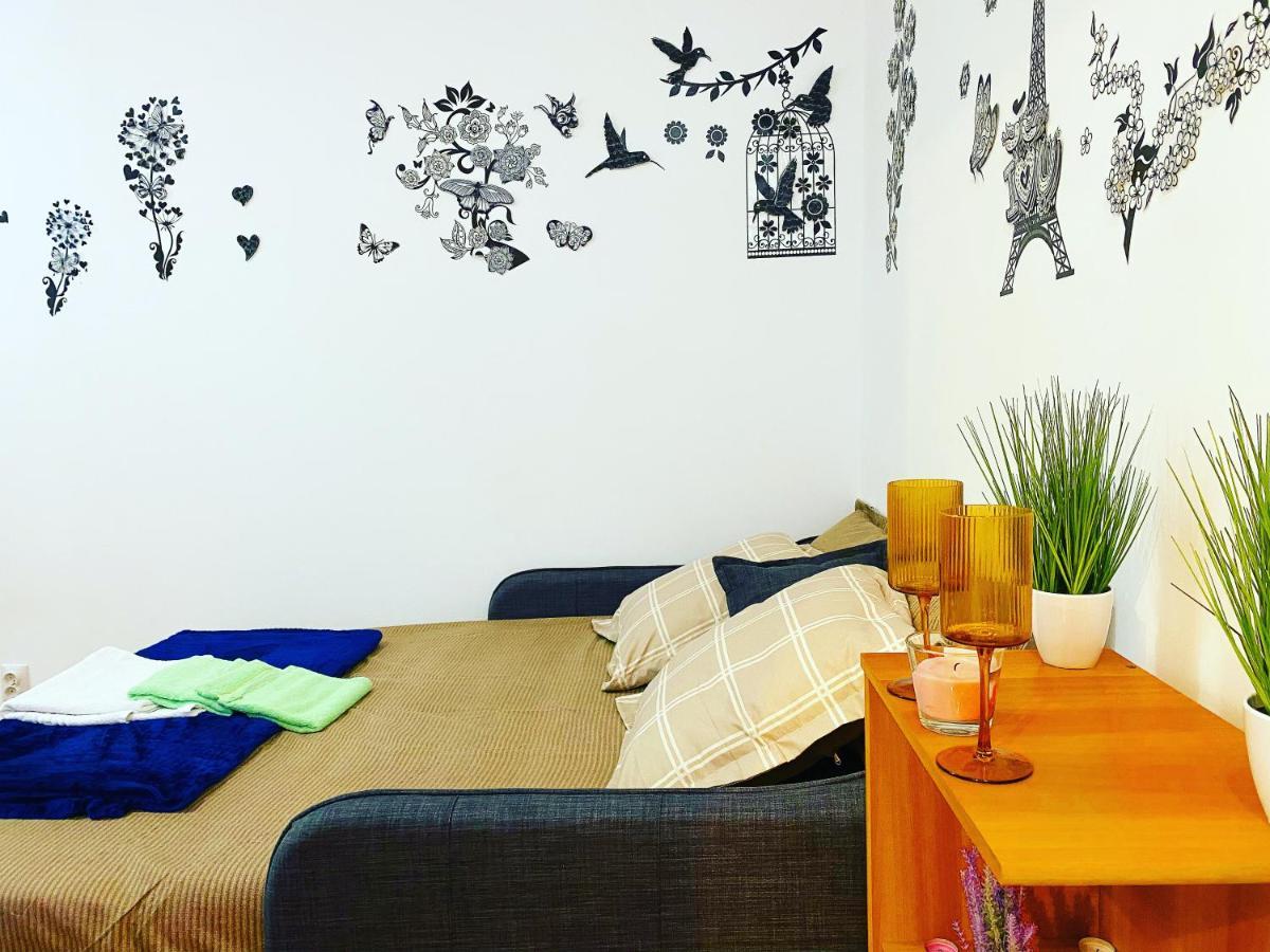 Apartment Casa Andu Piata Alba Iulia *