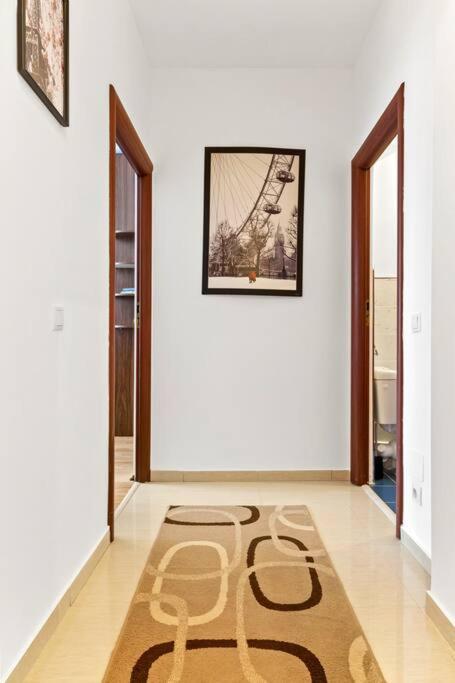 Apartment Spacious 3