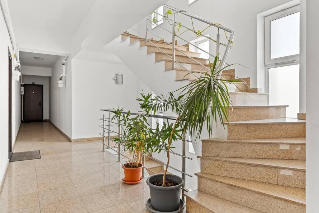 Apartment Spacious 3