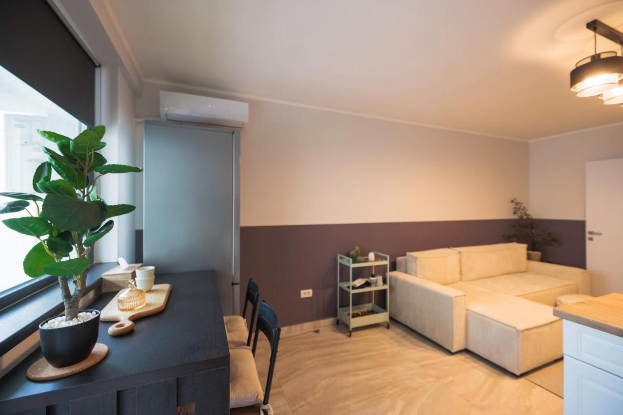 Downtown Hidden Garden With Jacuzzi In Apartment Bucharest