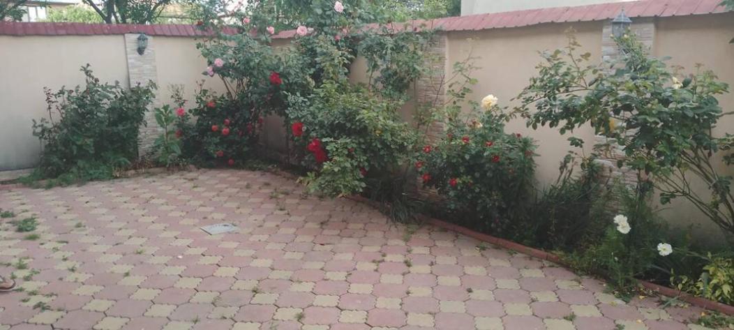Haq House Homestay Bucharest