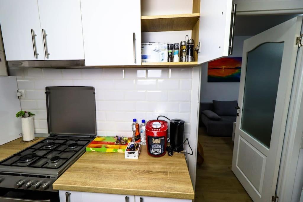 Apartment Modern & Comfortable Cismigiu Park - Pop4 Bucharest