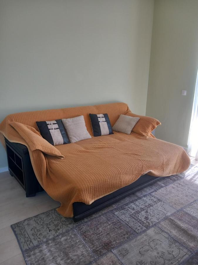 Apartment Herastrau *
