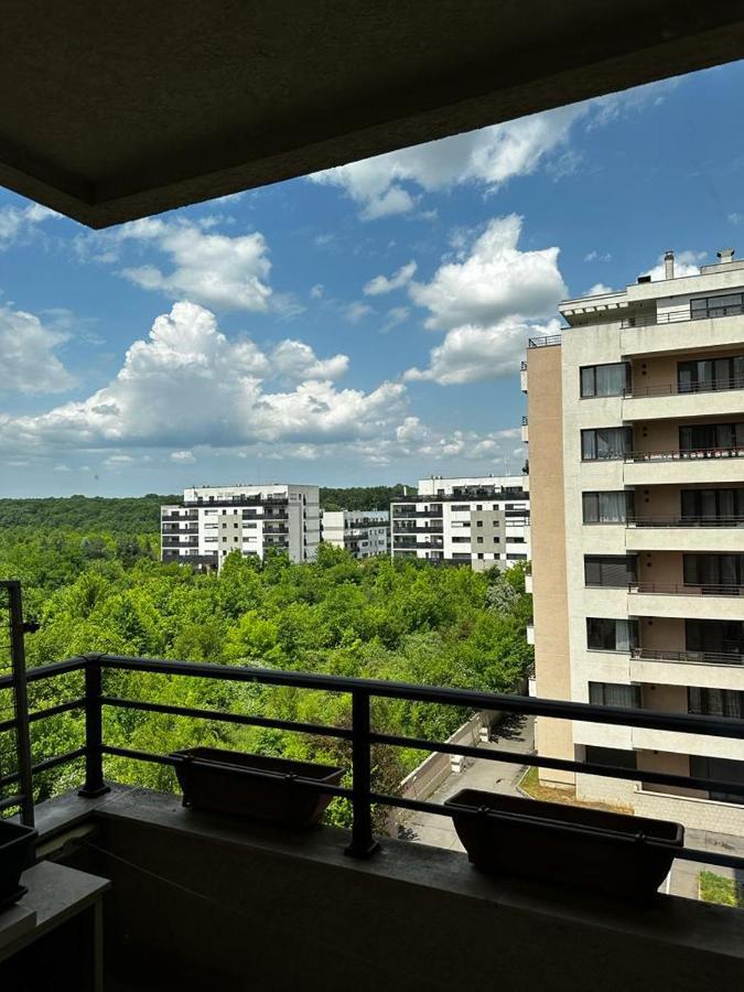 Peaceful With A Forest View