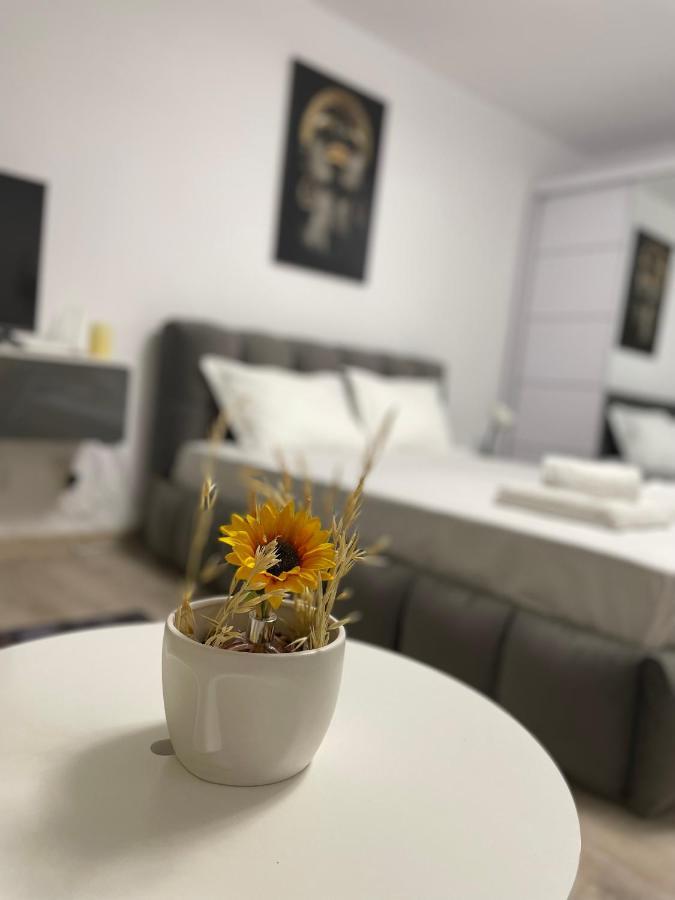 Apartment Wow Unirii-coposu *
