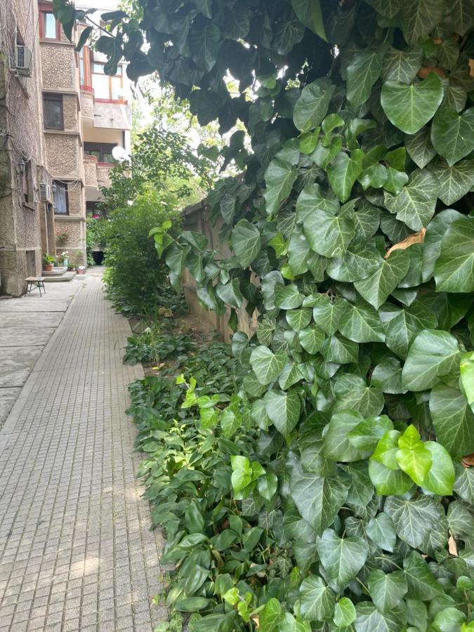Old Centre - Unforgettable House *