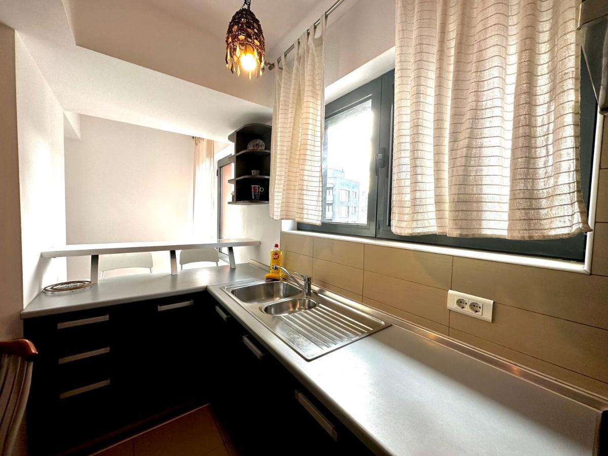 Apartment Welcoming In Victoriei