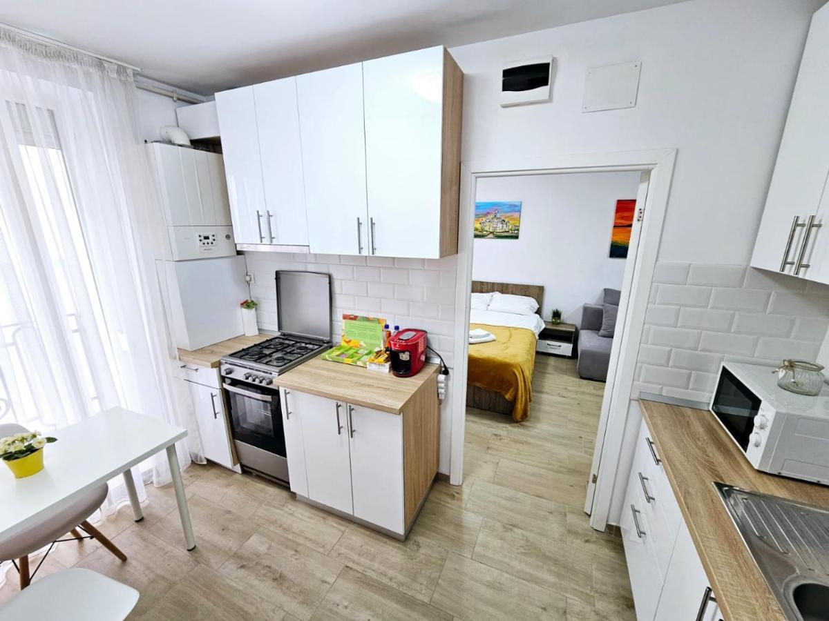 Modern & Comfortable Cismigiu Park - Pop4