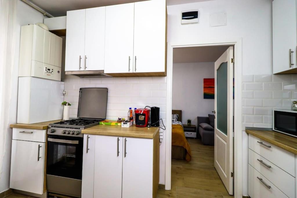 Apartment Modern & Comfortable Cismigiu Park - Pop4 Bucharest