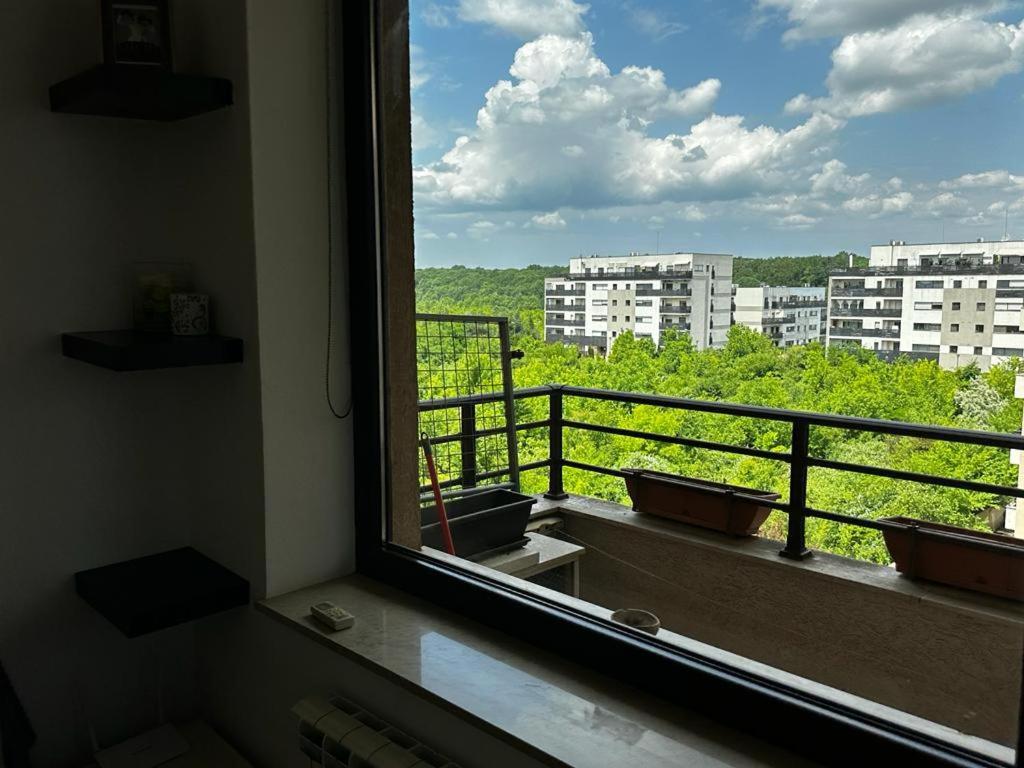 Peaceful With A Forest View Apartment