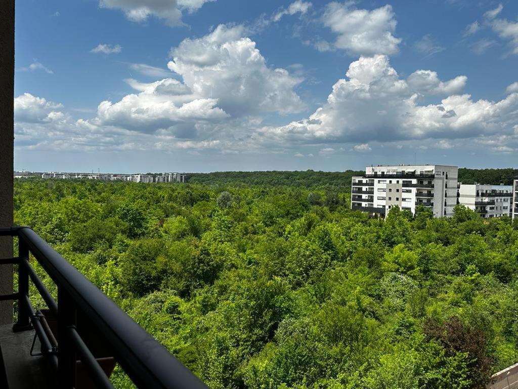 Peaceful With A Forest View Bucharest