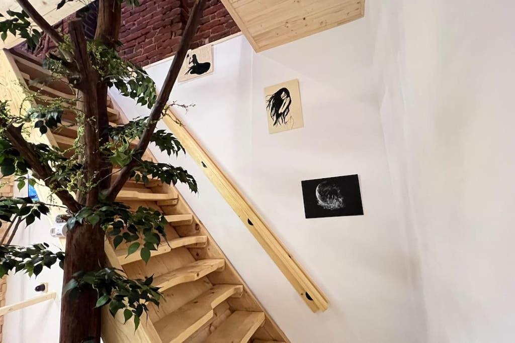 Apartament The Stable House Bucureşti
