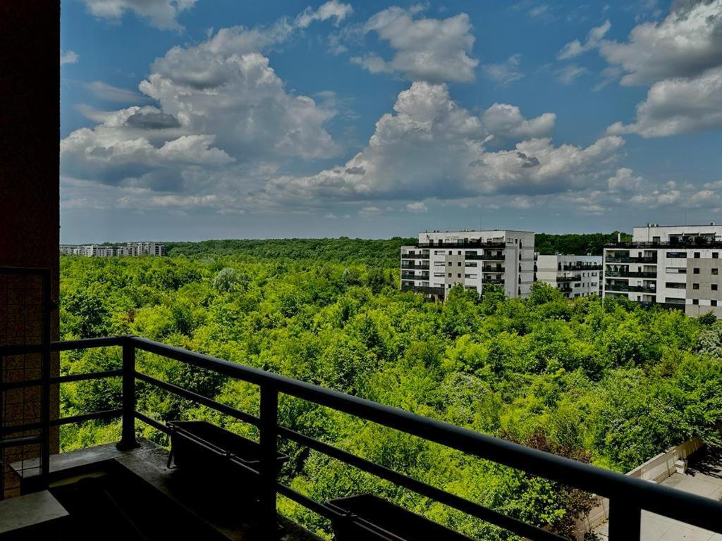 Peaceful With A Forest View