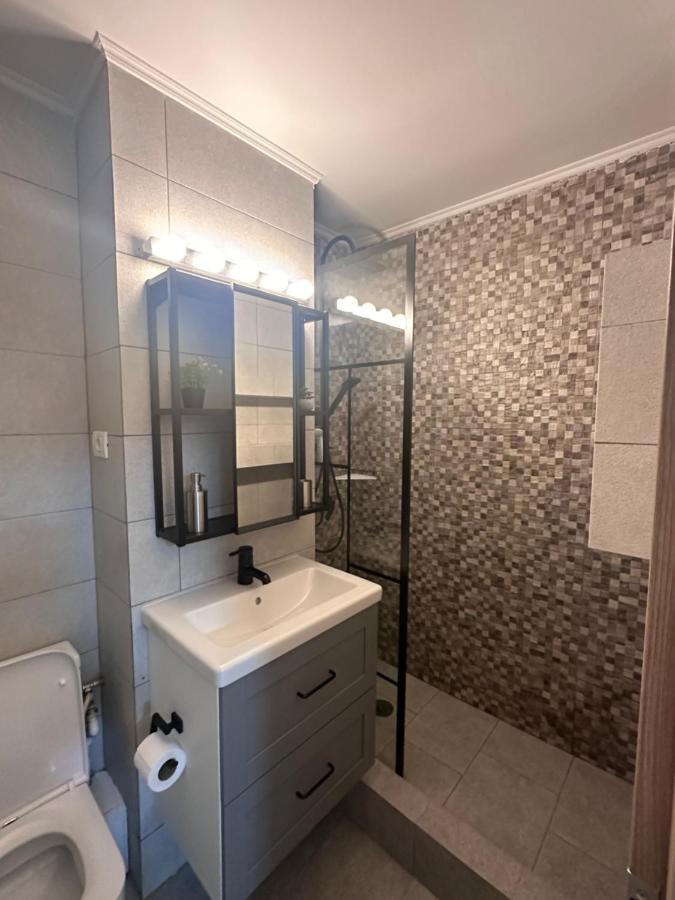 Apartment Gabi's Studio Bucharest