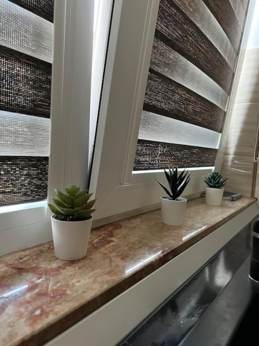 Marului Apartament Bucureşti