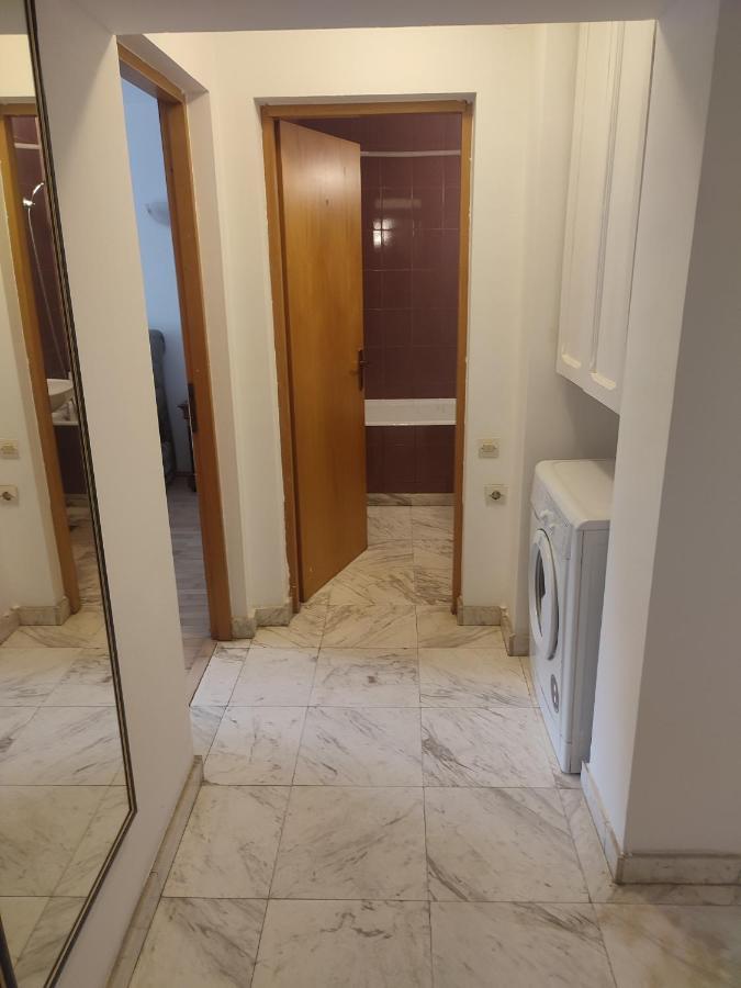 Floreasca Apartment