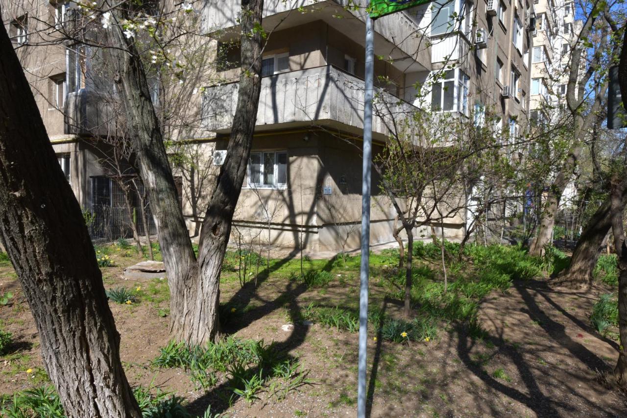 Luxury Studio / Ghencea Bucharest