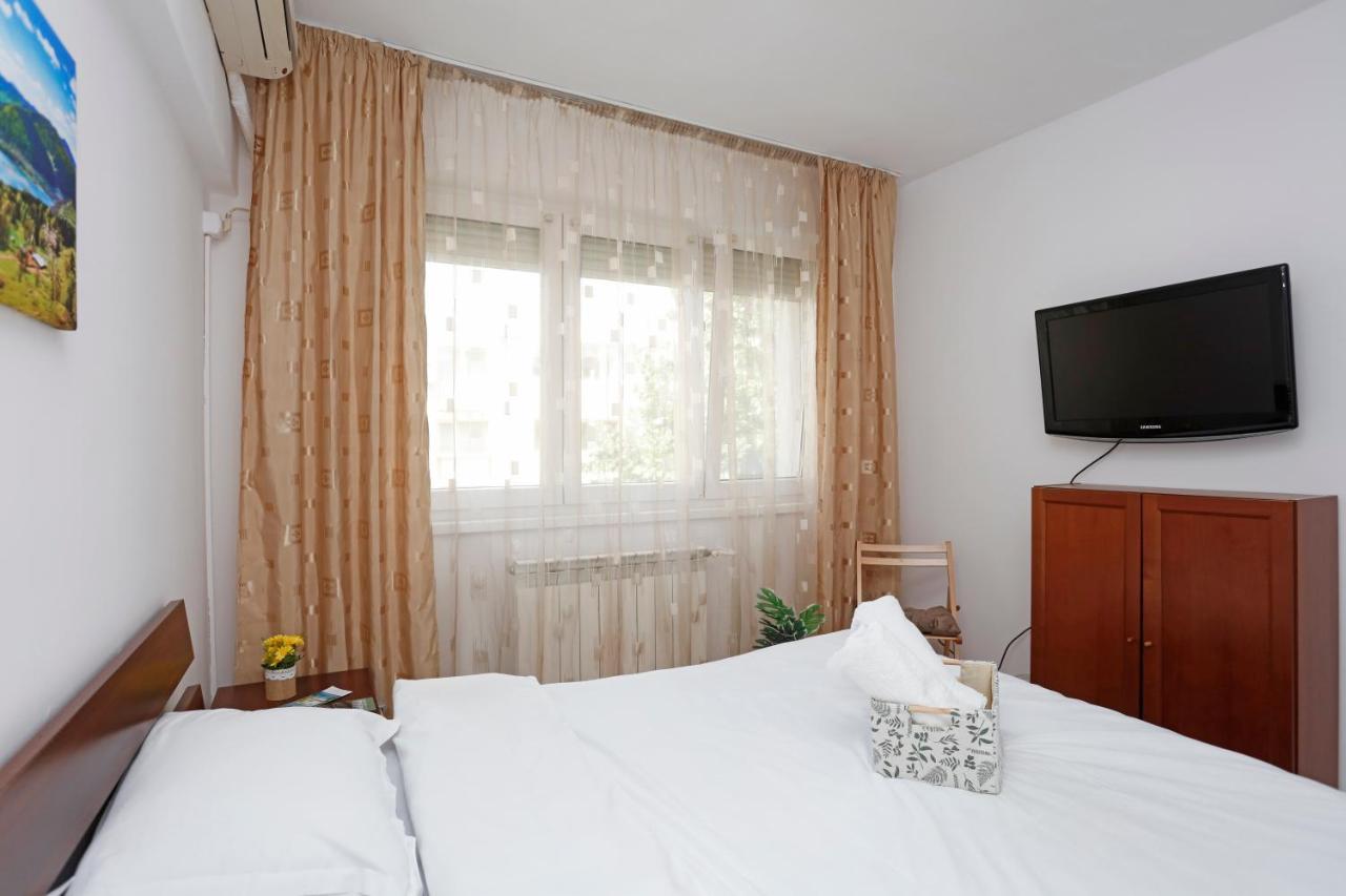 Calea Victoriei Peaceful Oasis Apartment