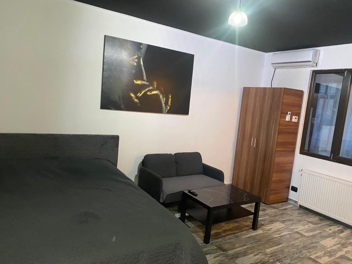 Spacious & Luxury Center Studio Bucareste