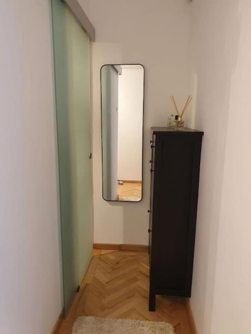 Spacious And Quiet 1br In Floreasca Bucareste