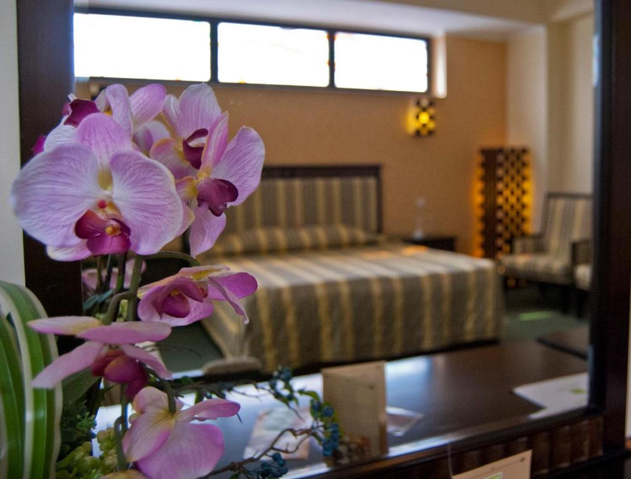 Hotel Tecadra Bucharest