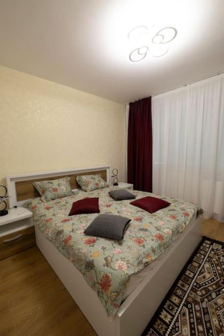 Robert's Apartament