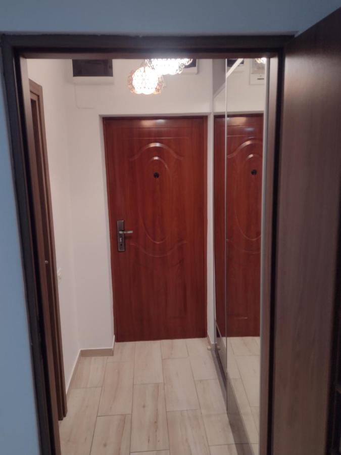 Delightful Grigorescu Apartament
