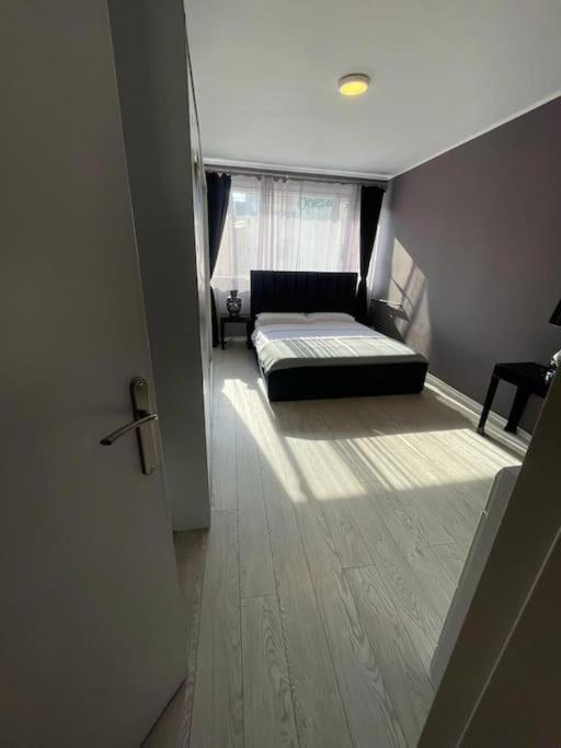 Lucomi's Apartament