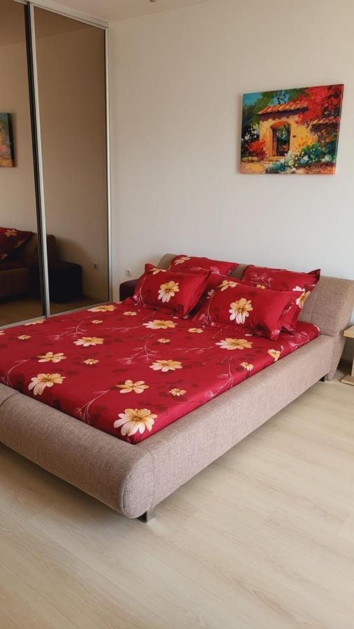 Imob Bibi House * Bucharest