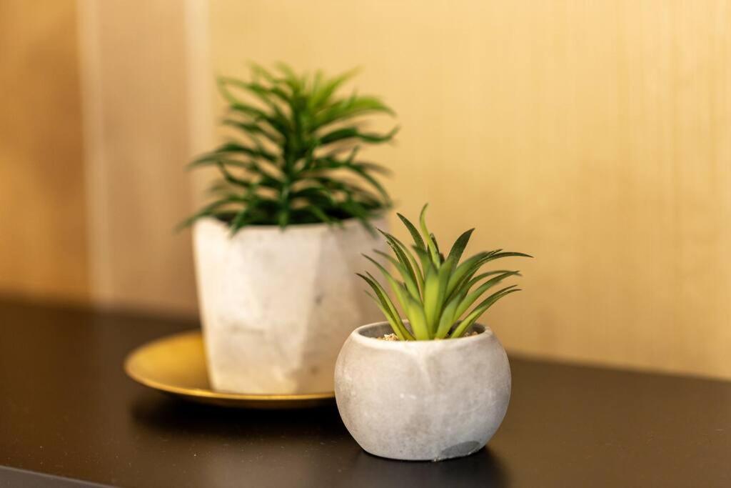 Apartment Mima Comfort, Free Guarded Private Parking And Gym
