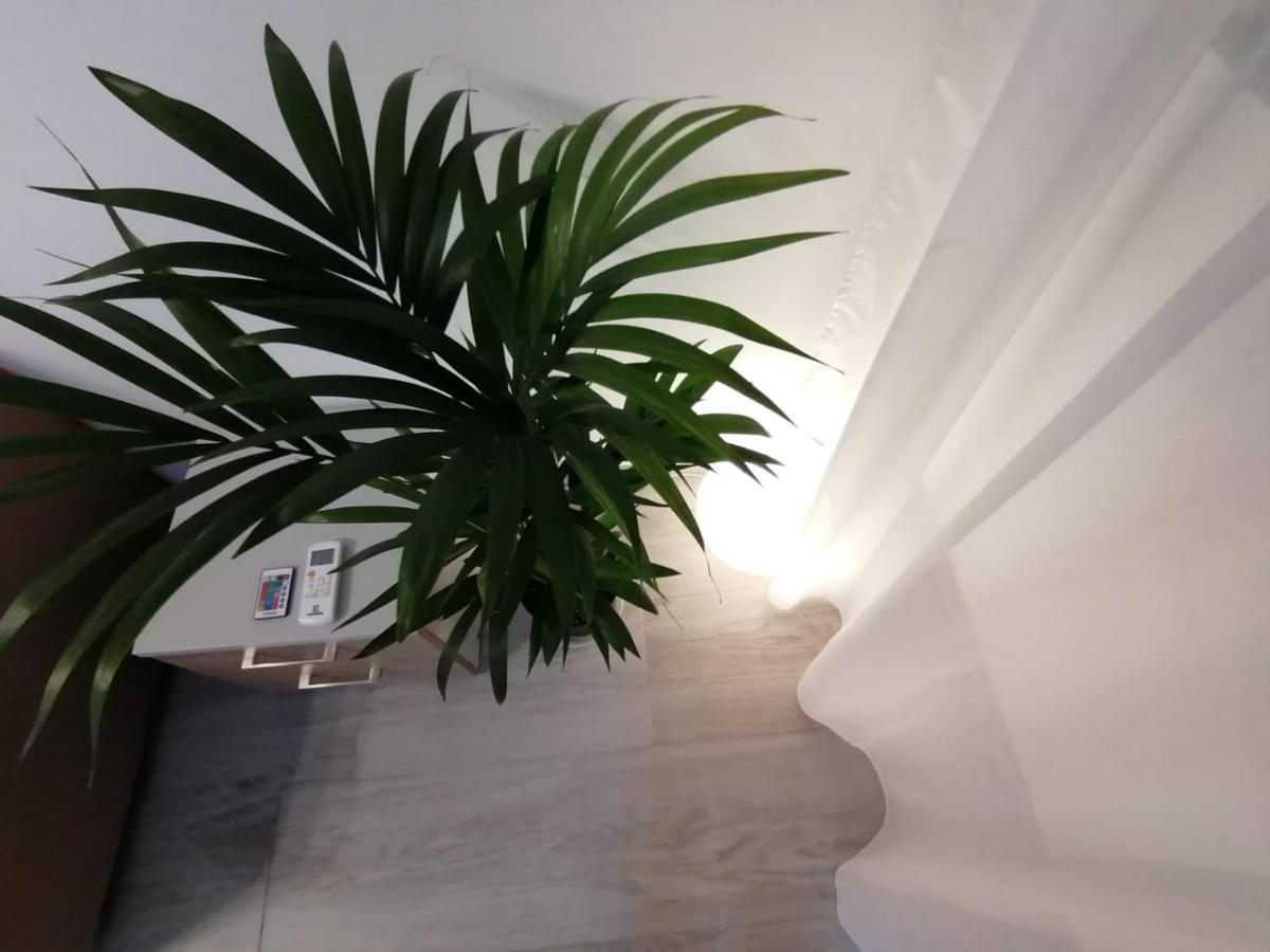 Lifestudio179 Apartment