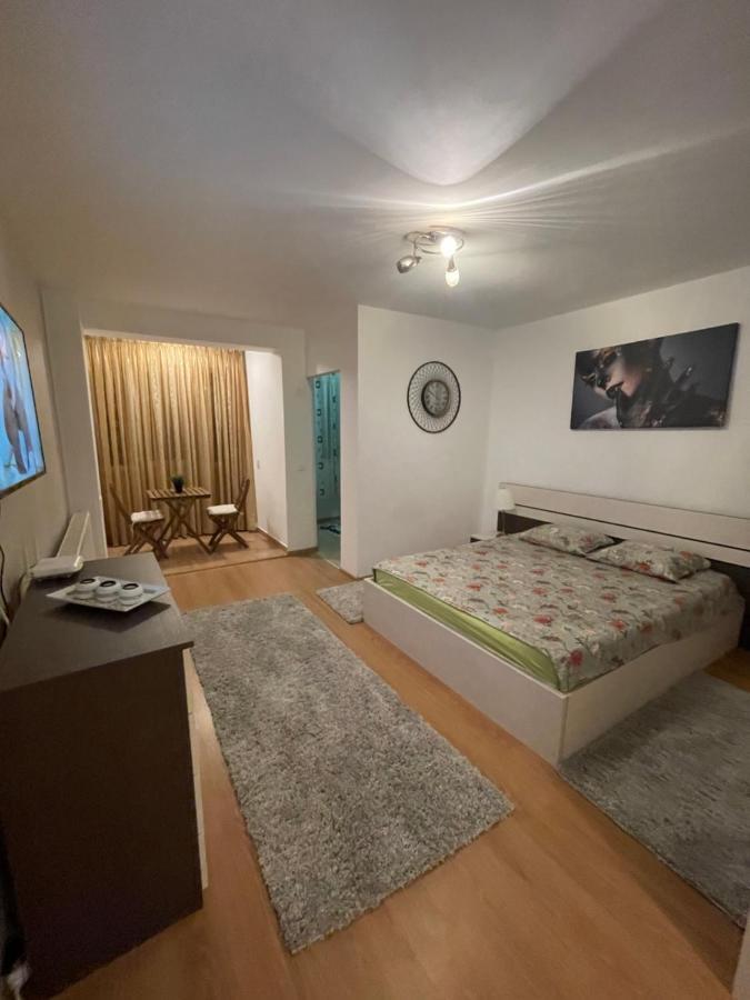 Garsoniera Single 19 Apartment