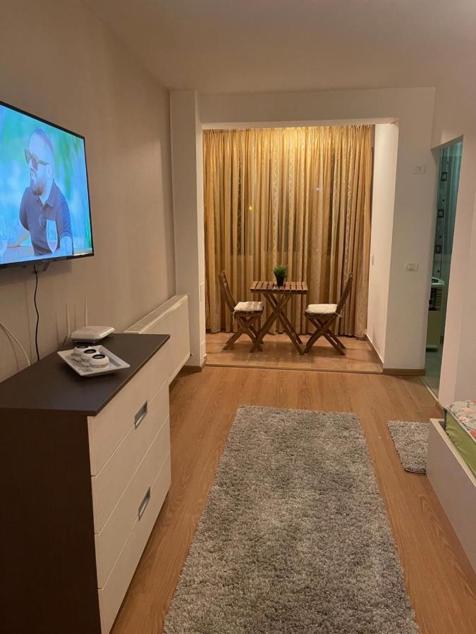 Apartment Garsoniera Single 19