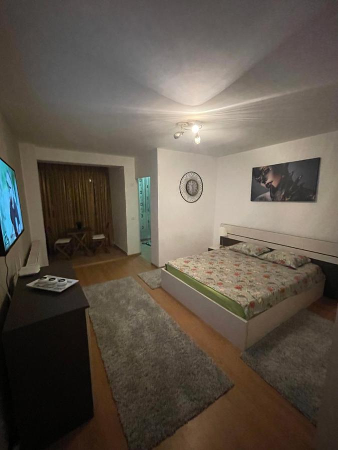 Garsoniera Single 19 Apartment