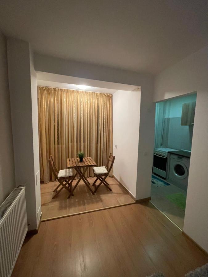 Apartment Garsoniera Single 19