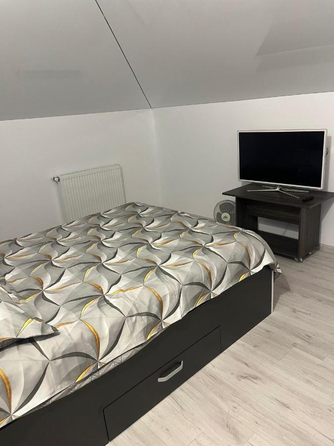 Mike Apartament *