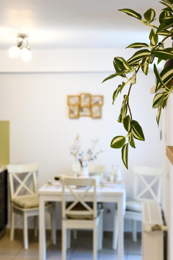Eme-rose Condo, Free Guarded Parking & Gym Apartment Bucharest