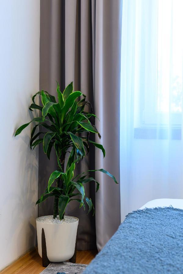 Eme-rose Condo, Free Guarded Parking & Gym Bucharest