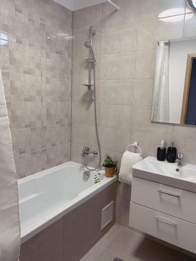 Apartament Oasis Studio Bucureşti