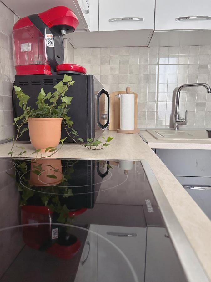 Oasis Studio * Bucureşti