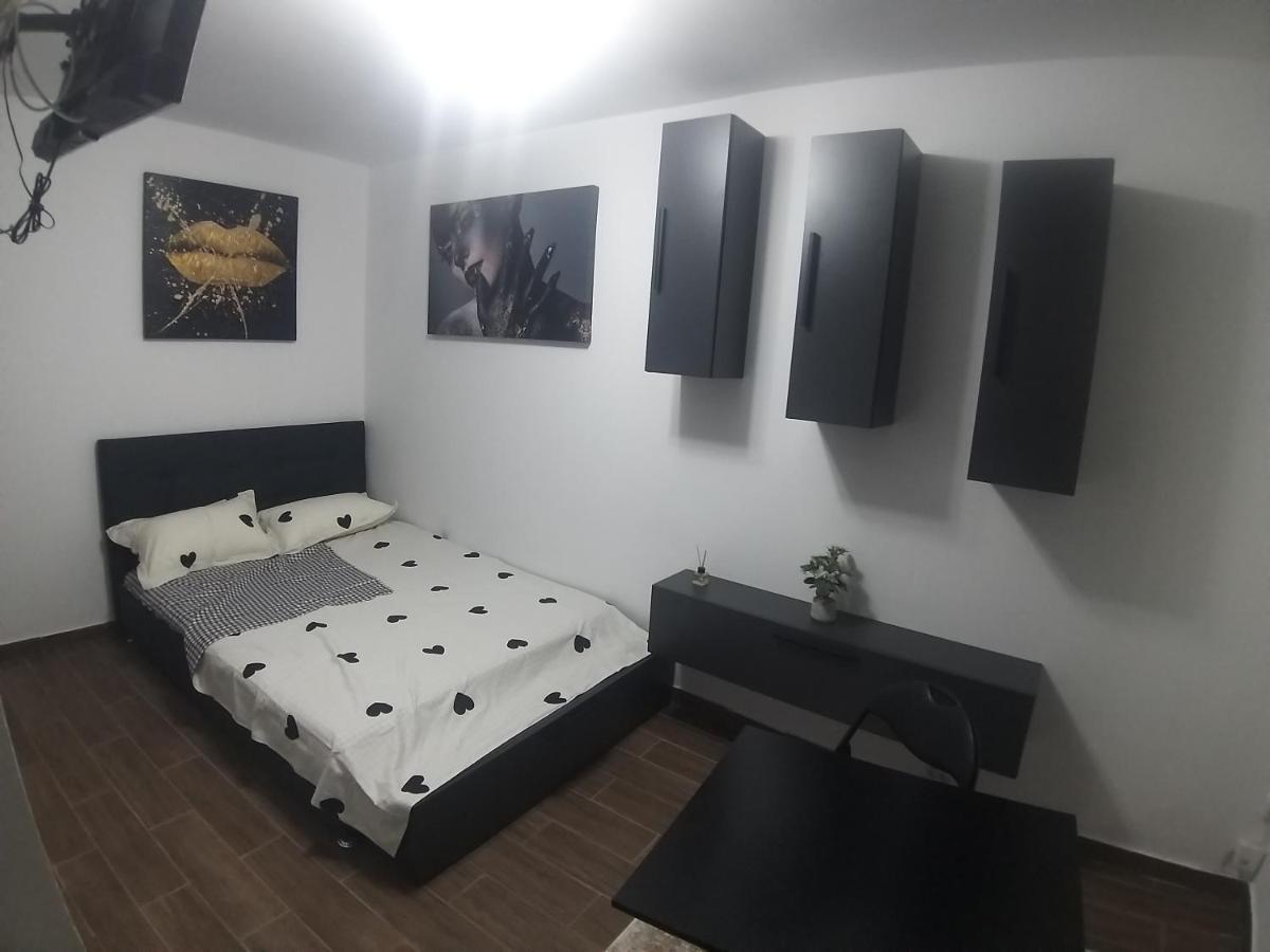 Ovidiu Relaxing Place Apartament *