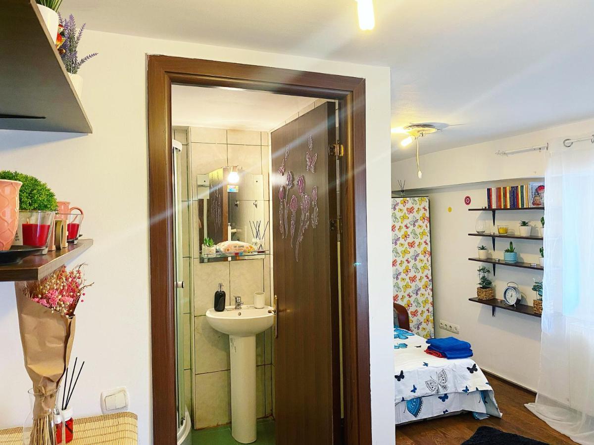 Apartment Casa Andu