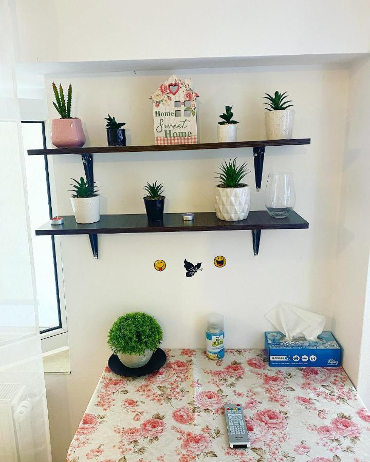 Apartment Casa Andu Bucharest