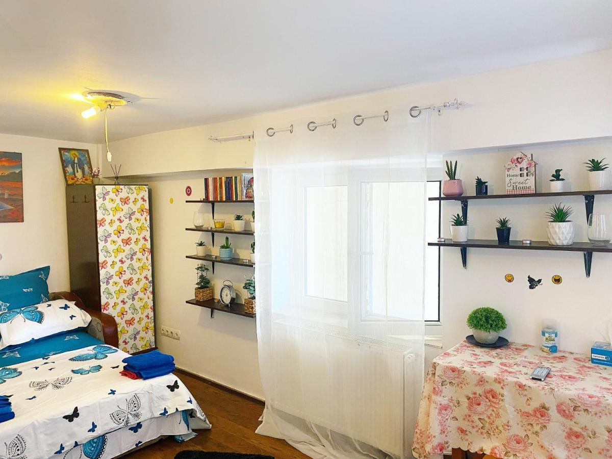Apartment Casa Andu Bucharest