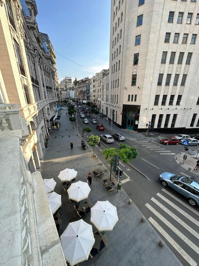 Apartment Oyster Flat Victoriei Bucharest