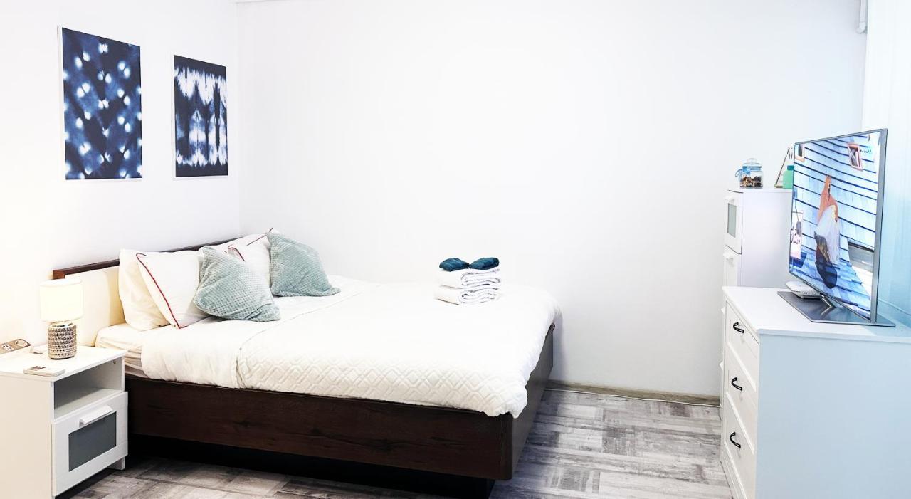 Apartament Victoriei - Parc Kiseleff *