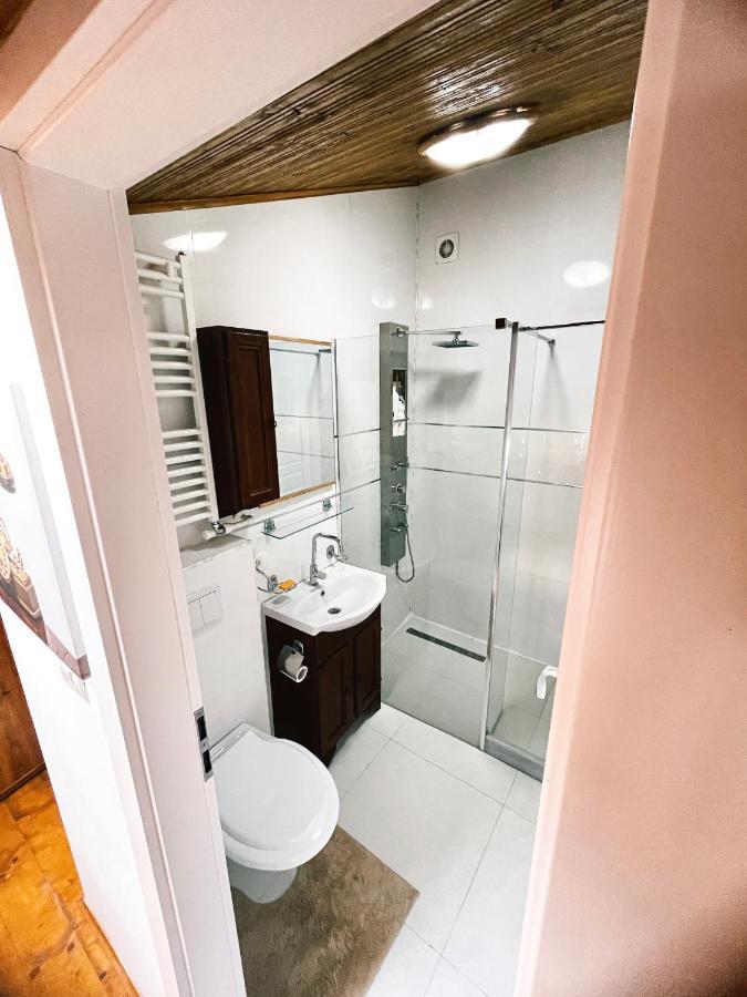 Mansion 10 Apartment Bucharest