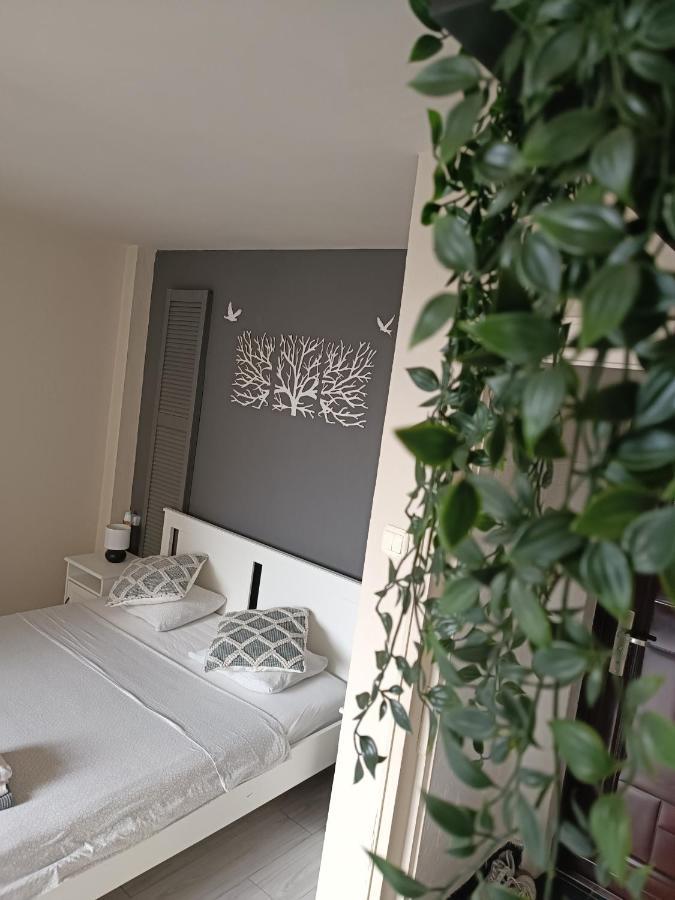 Old Town Within Apartment